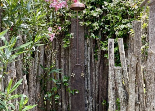 PHOTO 2026 03 22 09 20 39